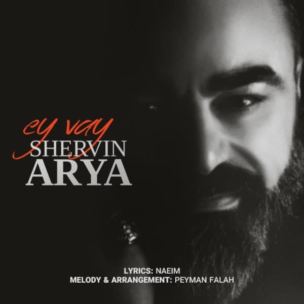 Ey Vay - Shervin Arya