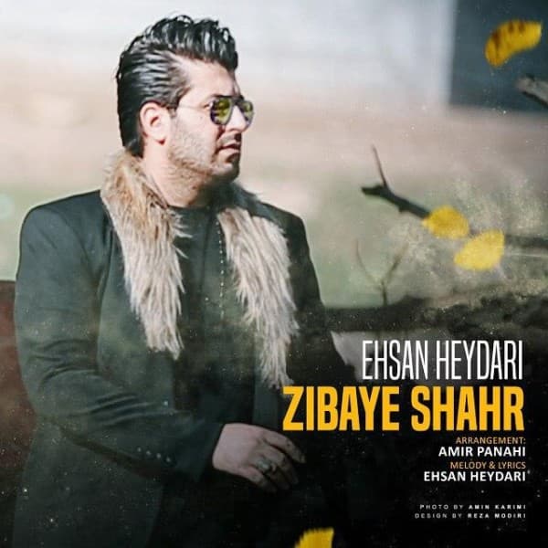 Zibaye Shahr - Ehsan Heidari