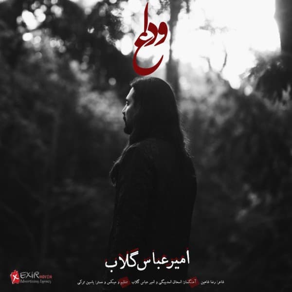 Vedaa - Amir Abbas Golab