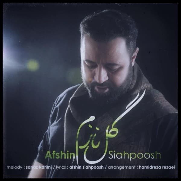 Gole Nazam - Afshin Siahpoosh