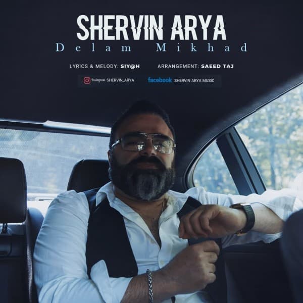 Delam Mikhad - Shervin Arya