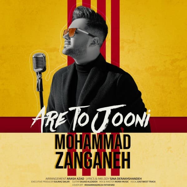 Are To Jooni - Mohammad Zanganeh