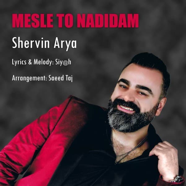Mesle To Nadidam - Shervin Arya