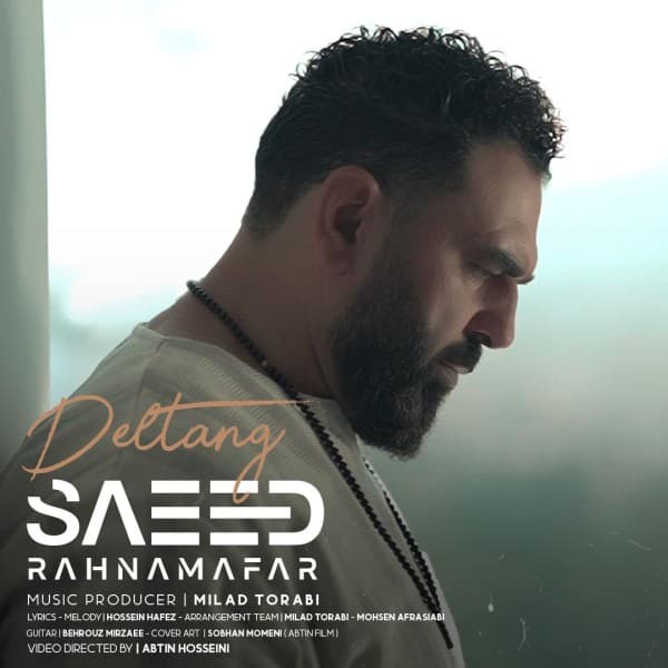 Deltang - Saeed Rahnamafar