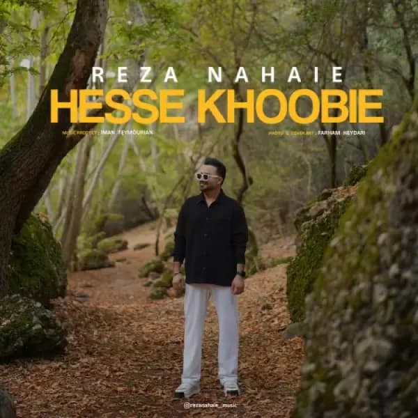 Hesse Khoobie - Reza Nahaie