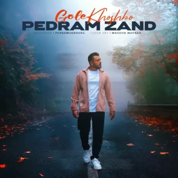 Gole Khoshboo - Pedram Zand