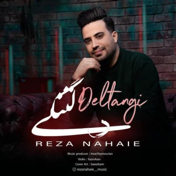 Deltangi - Reza Nahaie