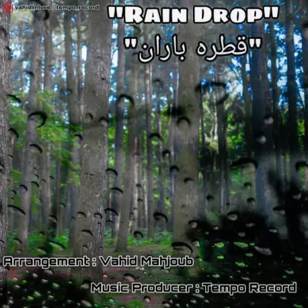 Rain Drop - Vahid N Love