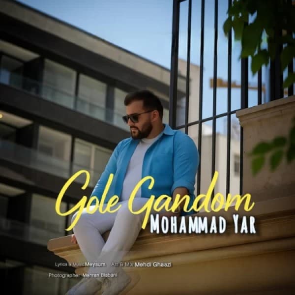 Gole Gandom - Moammad Yar