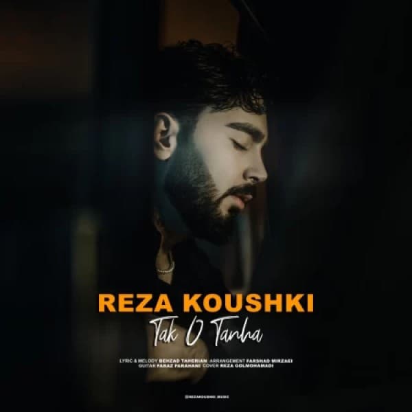 Reza Koushki