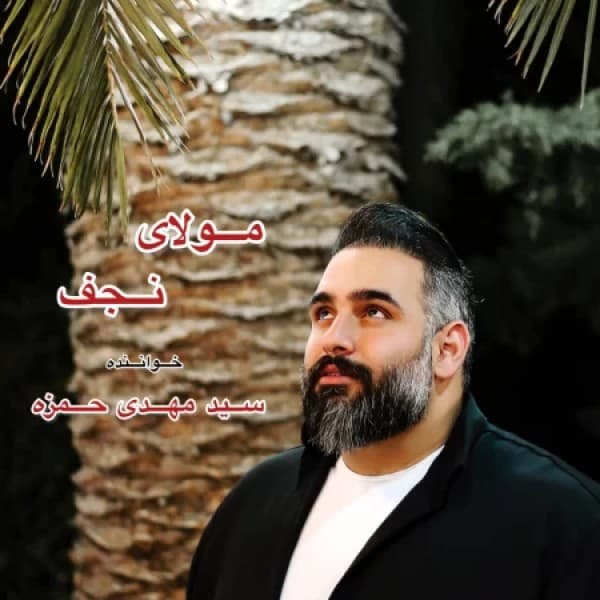 Molaye Najaf - Seyed Mehdi Hamzeh