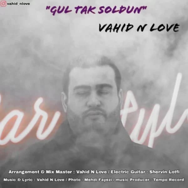 Gul Tak Soldun - Vahid N Love