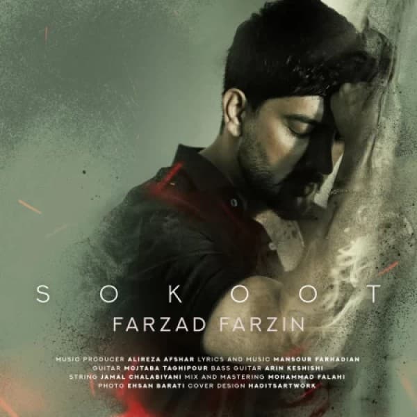 Sokoot - Farzad Farzin
