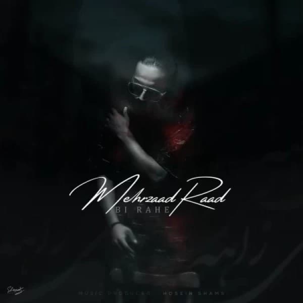 Mehrzaad Raad